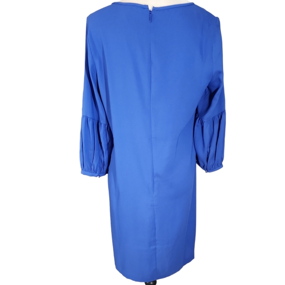 Ann Taylor Loft Royal Blue Dress. 8P - Picture 4 of 16
